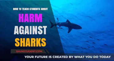 Teaching Shark Conservation: Empowering Students to Protect Our Oceans