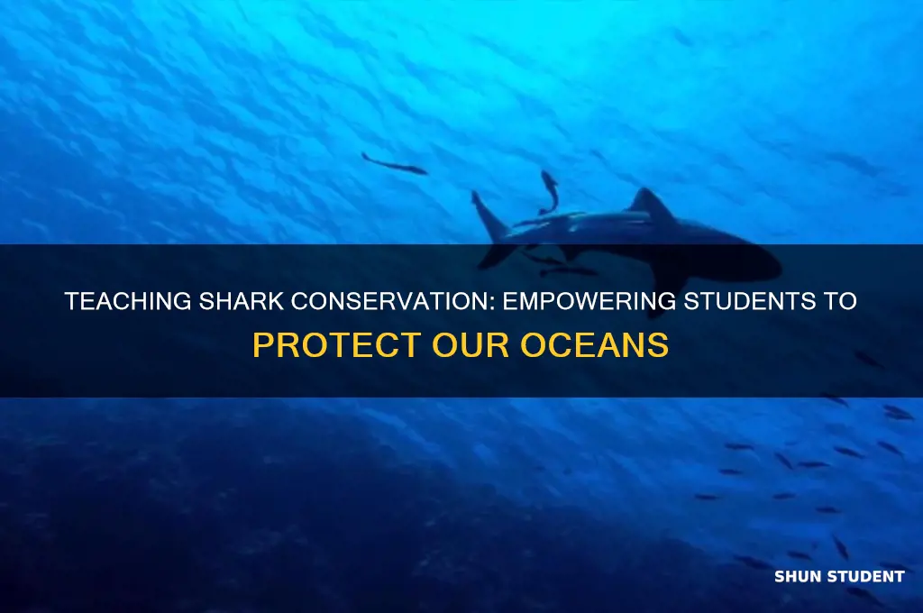 how to teach students about harm against sharks