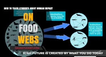 Teaching Human Impact on Food Webs: Strategies for Engaging Students