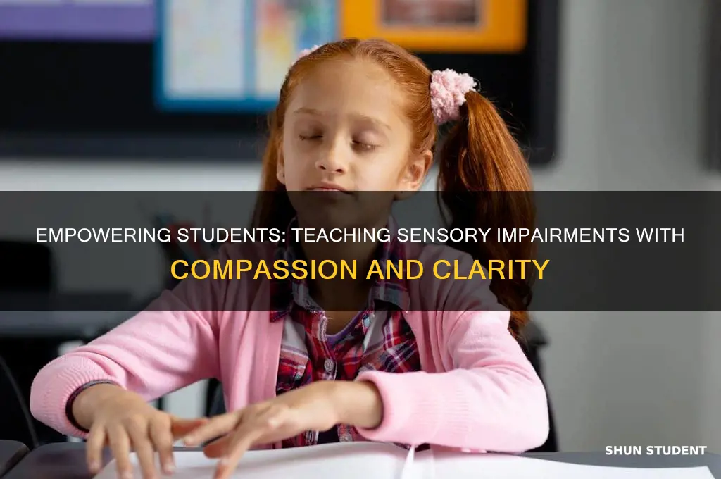 how to teach students about impairments of the 5 senses