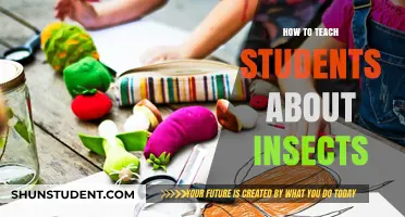 Engaging Ways to Introduce Students to the Fascinating World of Insects