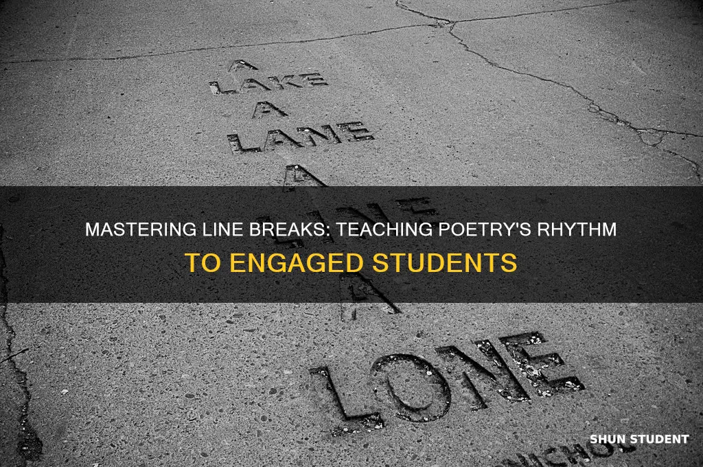 how to teach students about line break on poems