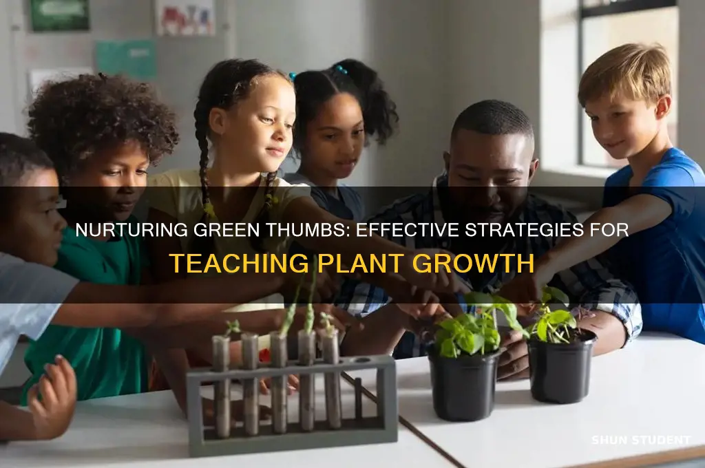 how to teach students about plant growth