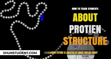 Unlocking Protein Structure: Engaging Teaching Strategies for Curious Students