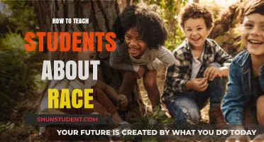 Empowering Minds: Teaching Race with Sensitivity and Impactful Dialogue