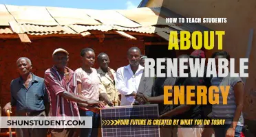 Empowering Future Generations: Teaching Students About Renewable Energy Solutions