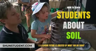 Nurturing Young Minds: Creative Ways to Teach Students About Soil