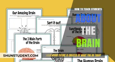 Unlocking Curiosity: Engaging Ways to Teach Students About the Brain