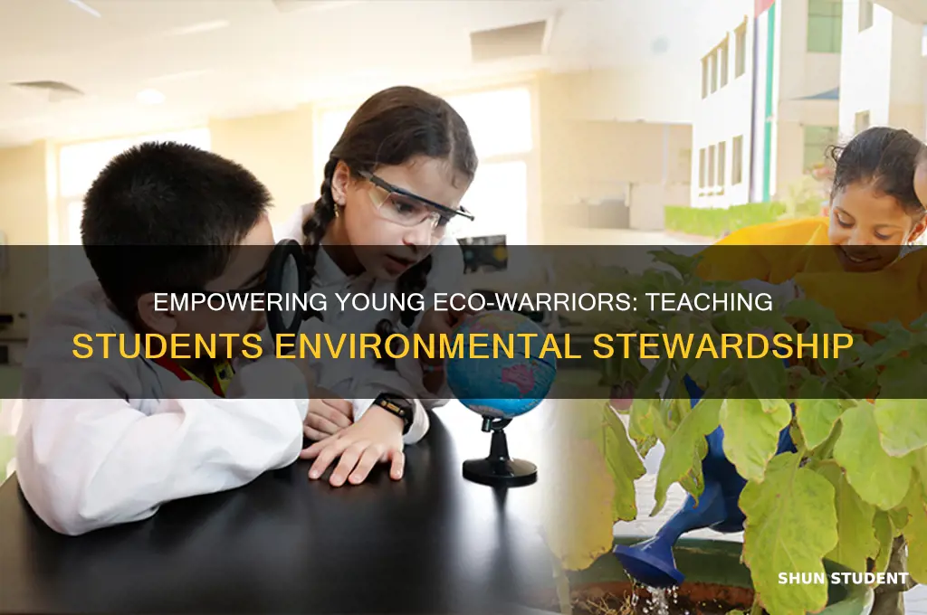 how to teach students about the environment