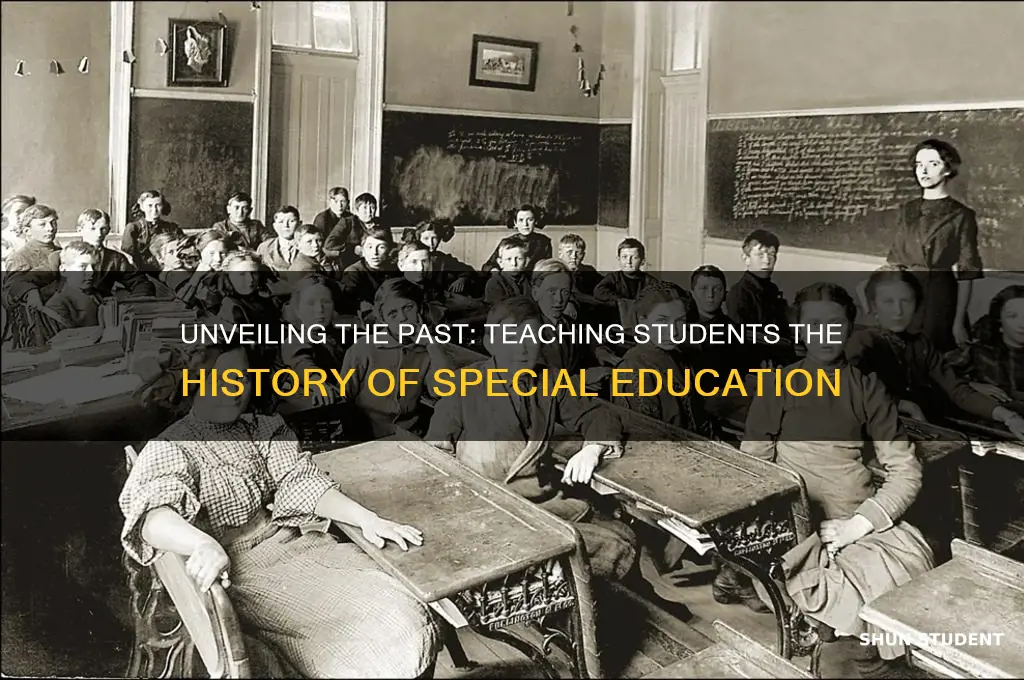 how to teach students about the history of special education