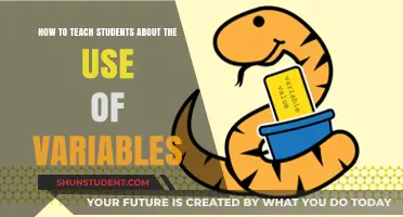 Mastering Variables: Effective Strategies for Teaching Students in Coding