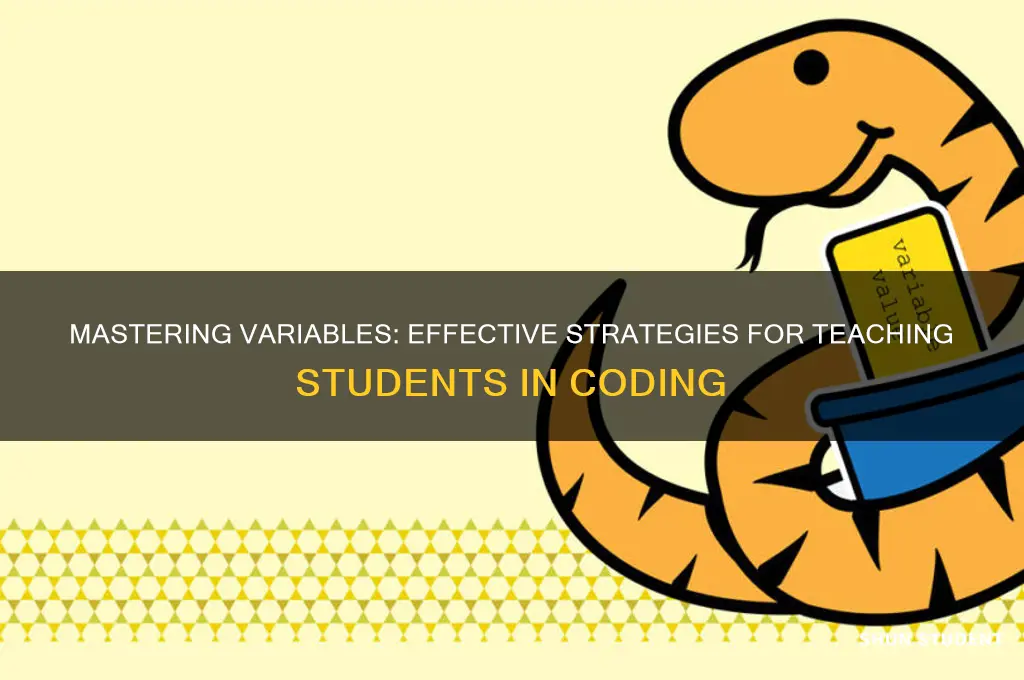 how to teach students about the use of variables