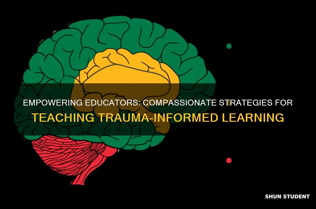 how to teach students about trauma