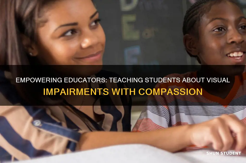 how to teach students about visual impairments
