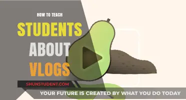 Engaging Students: Creative Strategies for Teaching Vlogging in Classrooms