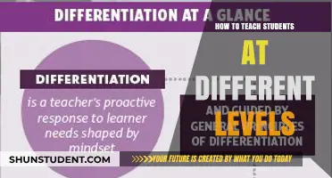 Tailoring Teaching Strategies for Diverse Student Abilities and Learning Levels