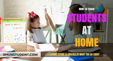Effective Home Teaching Strategies for Engaging and Educating Students