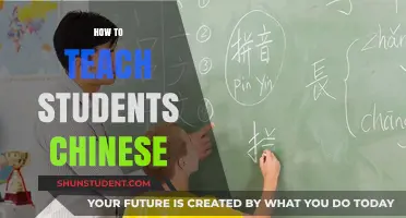 Effective Strategies for Teaching Chinese to Students: A Comprehensive Guide