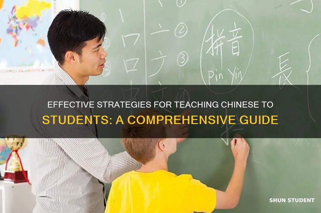 how to teach students chinese