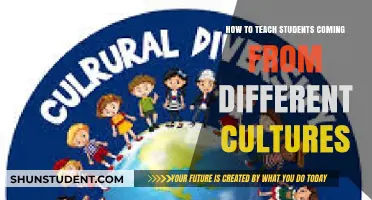 Bridging Cultural Gaps: Effective Strategies for Teaching Diverse Classrooms