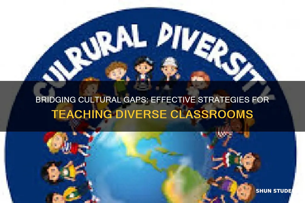 how to teach students coming from different cultures