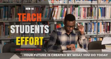 Cultivating Student Effort: Strategies for Motivation and Growth Mindset