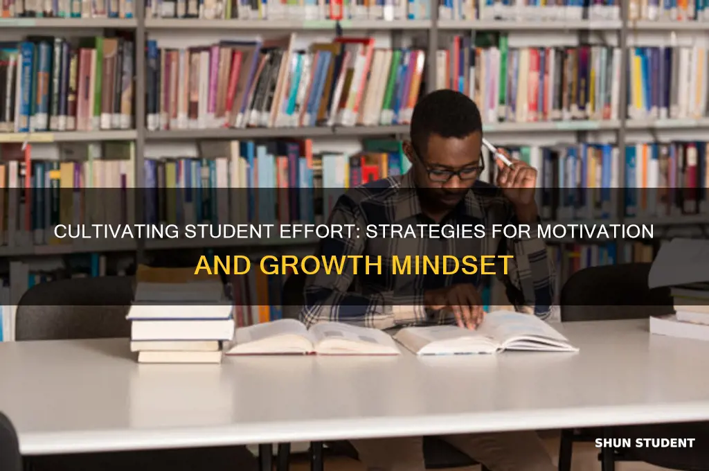how to teach students effort