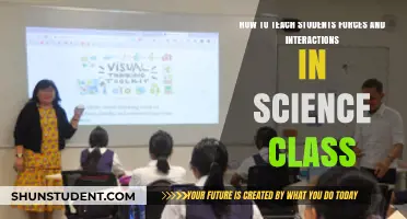 Mastering Forces and Interactions: Engaging Science Teaching Strategies for Students