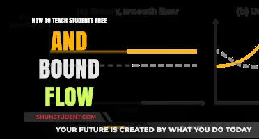 Mastering Fluid Dynamics: Teaching Free and Bound Flow Concepts Effectively