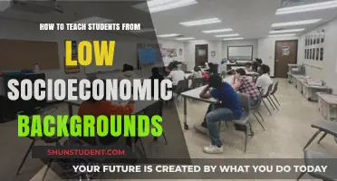 Empowering Learning: Strategies for Teaching Low Socioeconomic Students