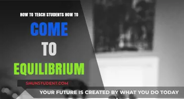 Teaching Equilibrium: Strategies for Balanced Learning and Student Success