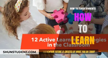Empowering Learners: Strategies to Teach Students Effective Learning Techniques