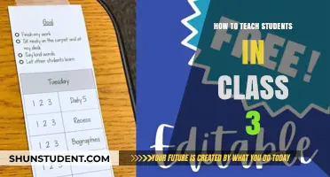 Effective Strategies for Engaging and Teaching Class 3 Students Successfully