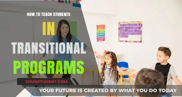 Empowering Transitional Learners: Effective Teaching Strategies for Student Success