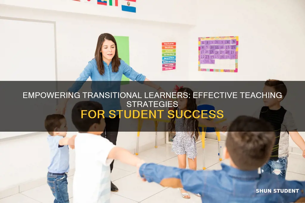 how to teach students in transitional programs