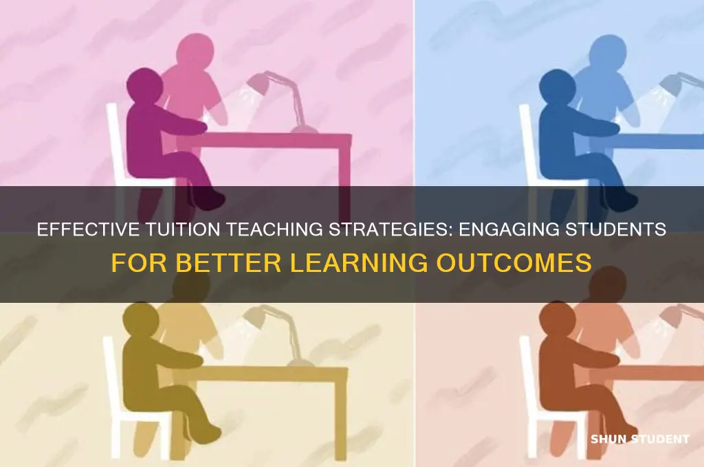 how to teach students in tuition