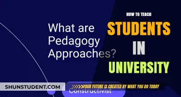 Teaching University Students: Effective Strategies for Professors