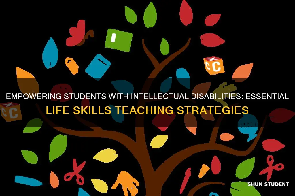 how to teach students iwth intellectual disabilities life skills