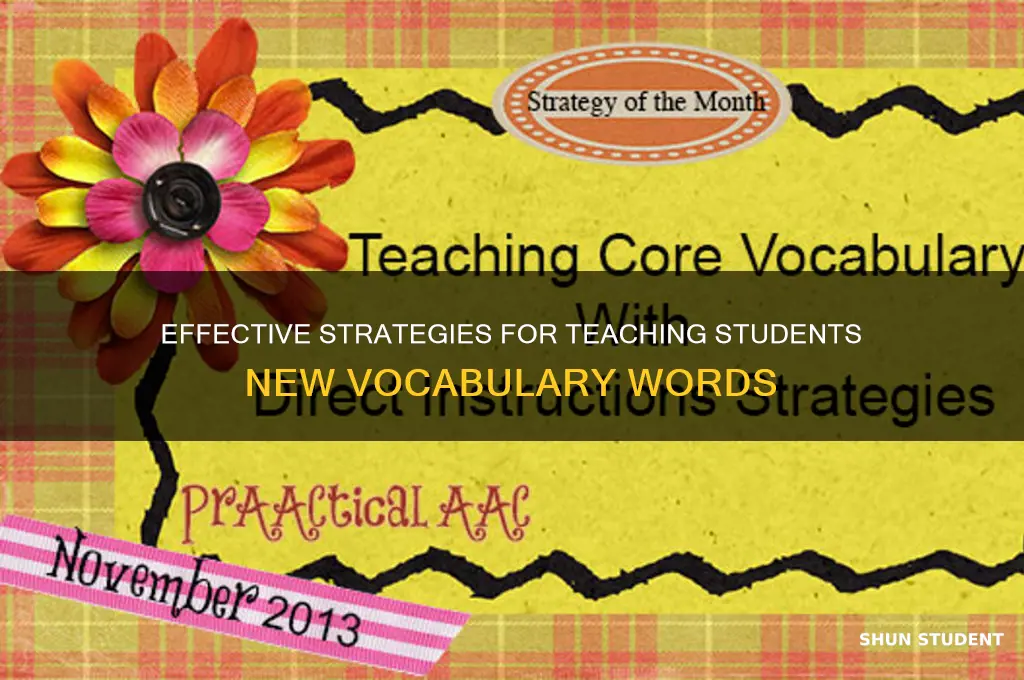 how to teach students new vocabulary words