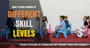 Tailoring Lessons for Diverse Learners: Strategies for Multi-Level Classrooms