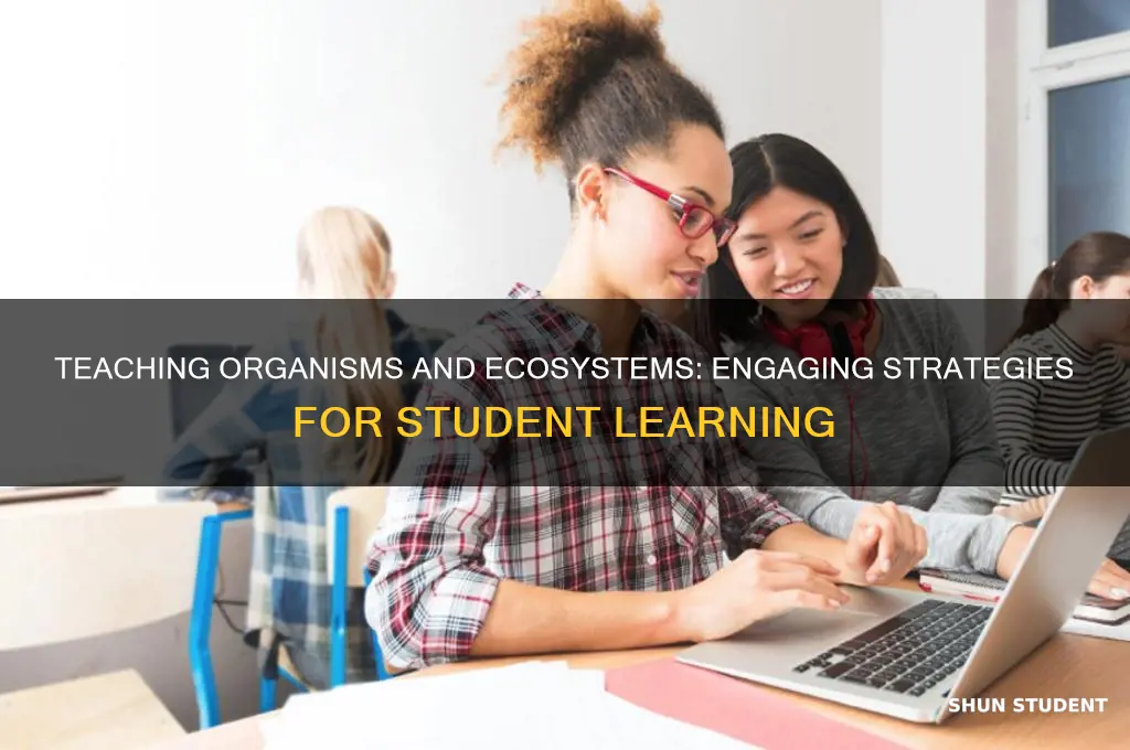 how to teach students organisms and ecosystems