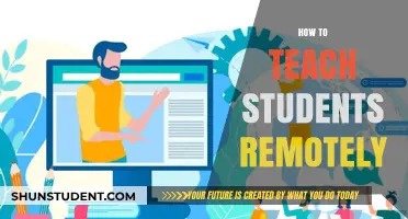 Effective Strategies for Engaging and Teaching Students Remotely