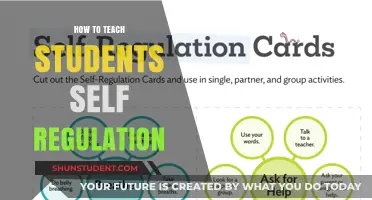 Empowering Learners: Effective Strategies for Teaching Self-Regulation in Students