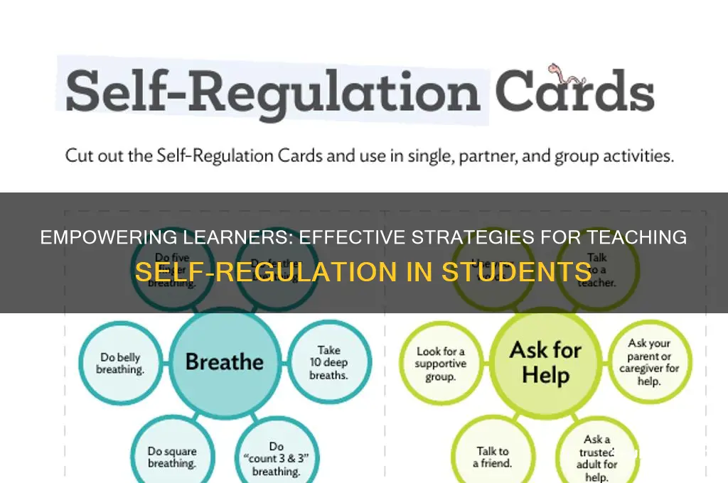 how to teach students self regulation
