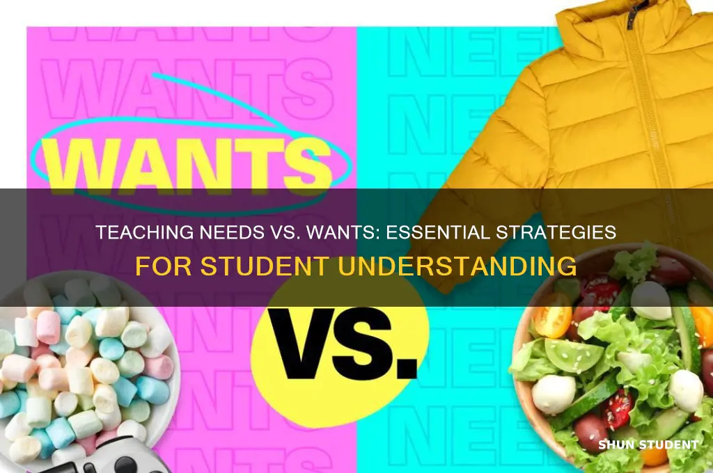 how to teach students the concept of needs vs wants