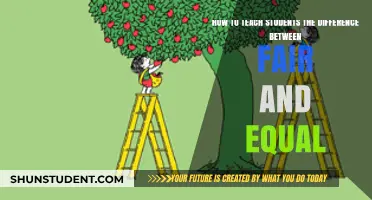Teaching Fairness vs. Equality: Empowering Students to Understand the Difference