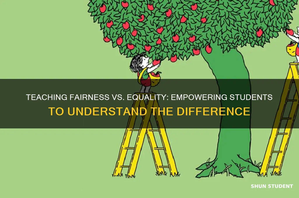 how to teach students the difference between fair and equal