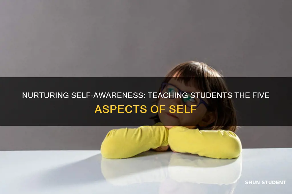 how to teach students the five aspects of self
