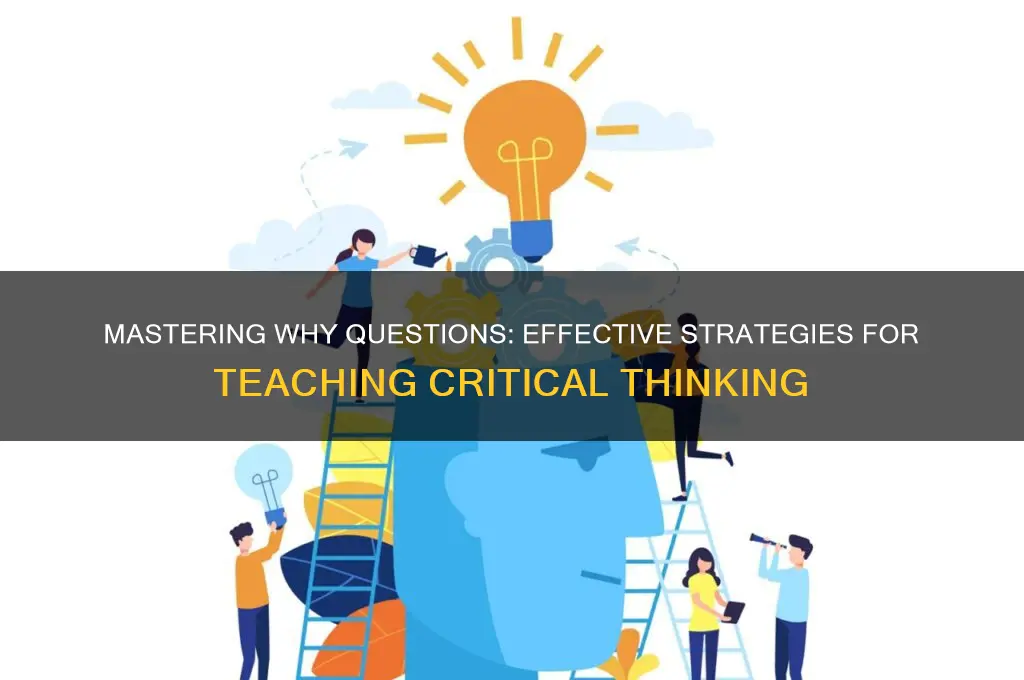 how to teach students to answer why questions