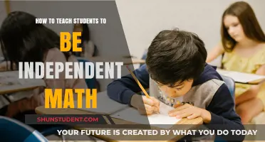 Empowering Learners: Strategies to Foster Independent Math Skills